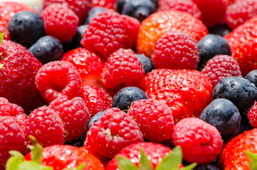 cranberry, strawberry and bilberry