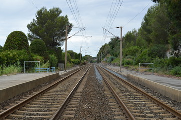 rails12
