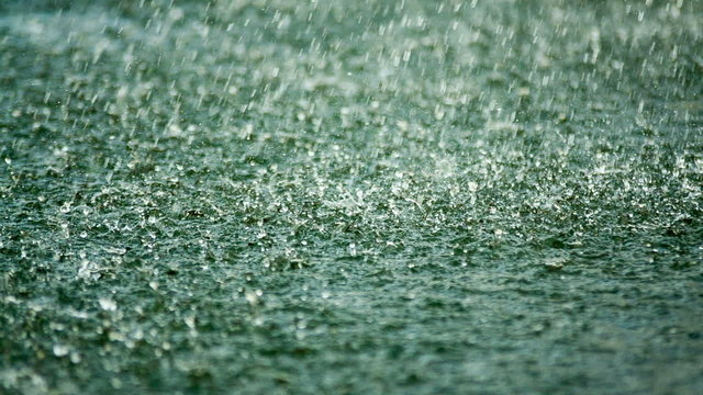 Shower, rain drops falling on the surface of the lake