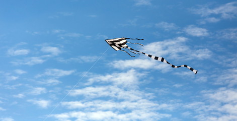 Flying kite