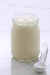 plain french style yogurt