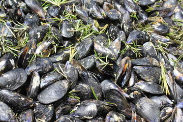 moules a la plancha