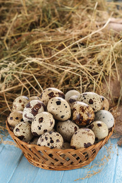 quail eggs in a wicker basket