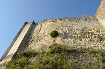 medieval town Loches