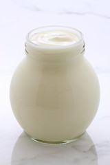 plain french style yogurt