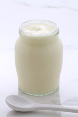 plain french style yogurt
