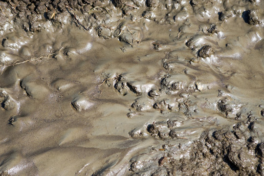 Flowing wet mud texture