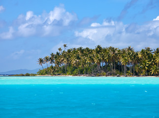 The tropical island with palm trees in the ocean