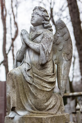 Fototapeta na wymiar Stary cmentarz marmuru rze¼ba anioła