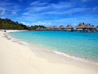 seacoast with palm trees and small houses on water