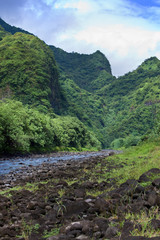 Fototapeta na wymiar Tahiti.Tropical nature and mountain river.