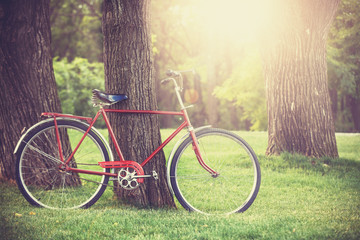 Fototapeta premium Vintage bicycle waiting near tree