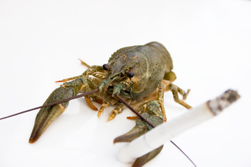 Рак с сигаретой