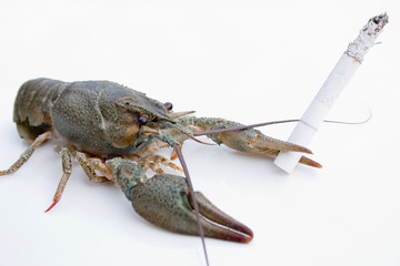 Вредная привычка