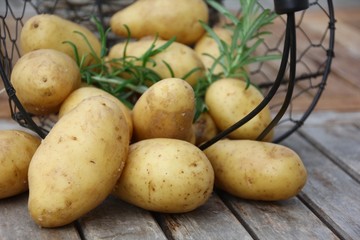 Kartoffel