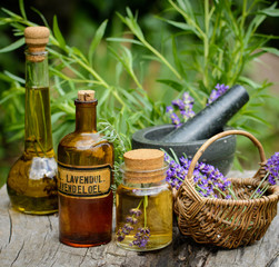 Lavendel aus dem Garten