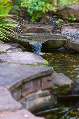 Patio Garden - Zen pond
