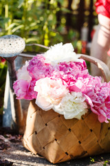 peonies in basket