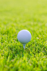 Golf ball on green grass