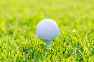 Golf ball on green grass