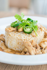 Chicken with brown sauce on rice