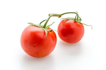 Tomato isolated on white