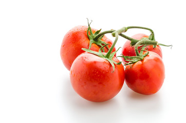 Tomato isolated on white