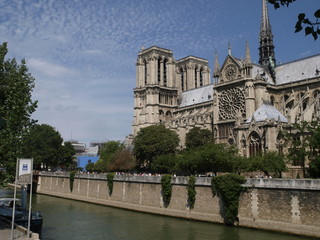 Naklejka premium Catedral de Notre Dame en París