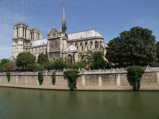 Naklejka premium Catedral de Notre Dame en París