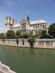 Naklejka premium Catedral de Notre Dame en París