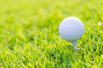 Golf ball on green grass
