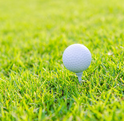 Golf ball on green grass