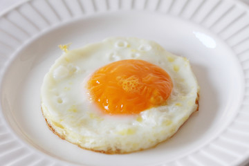 fried egg on a white plate - white background