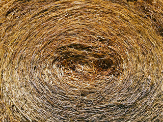 Baled roll of hay, closed up