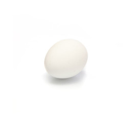 one egg on white background