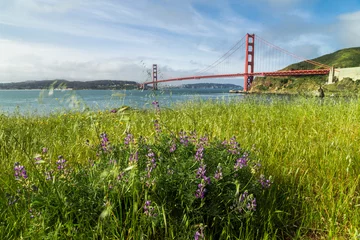 Fotobehang Golden Gate Bridge in San Francisco © Uladzik Kryhin