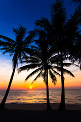 sunset on the beach.  Palm trees silhouette on sunset tropical b