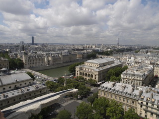 Fototapeta na wymiar Vista aerea de París