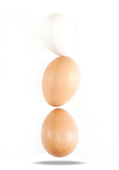 Close up of an egg isolated on white background