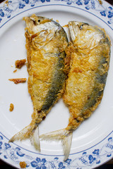 Fried Mackerel in plate