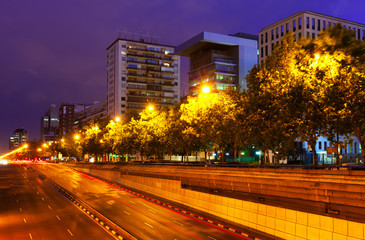Obraz premium Paseo de la Castellana in summer night. Madrid