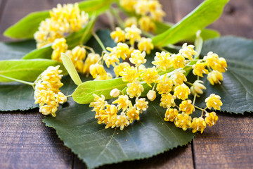 The flowers of linden tea on the rustic table