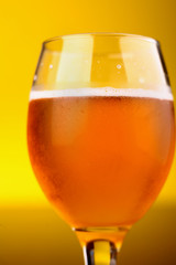 Glass of beer