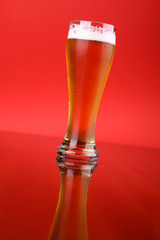Glass of beer