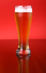Glass of beer