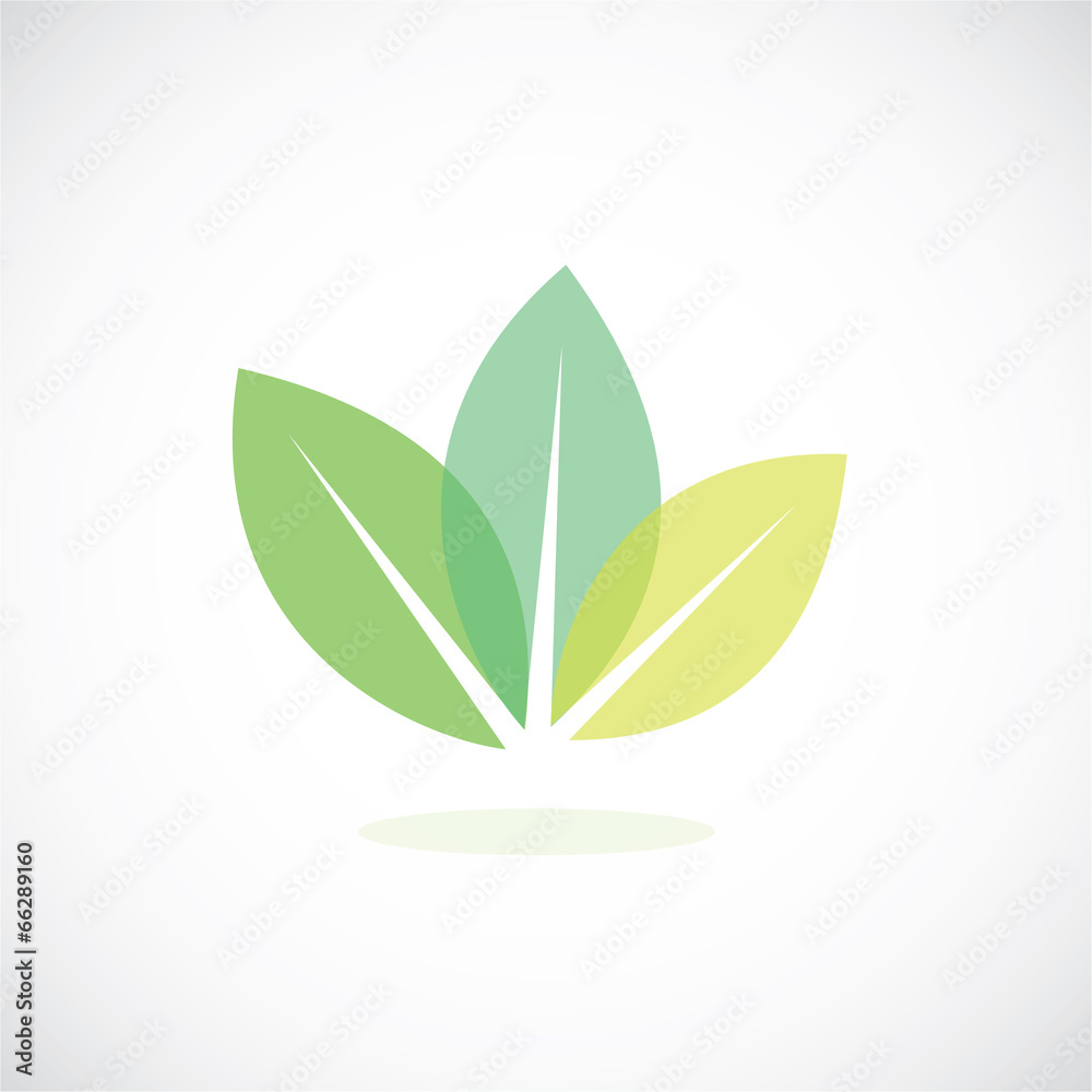 Canvas Prints leaf icon vector