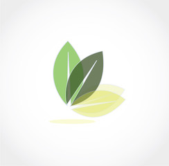 leaf butterfly icon vector