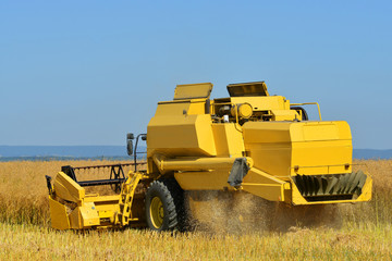 Fototapeta premium Combine harvester on a wheat field.