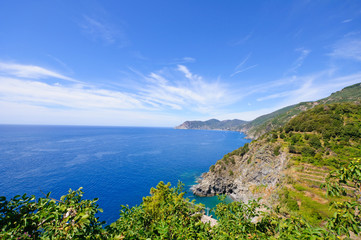 Fototapeta na wymiar Landscape of the Italian Riviera in summer