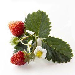 strawberries